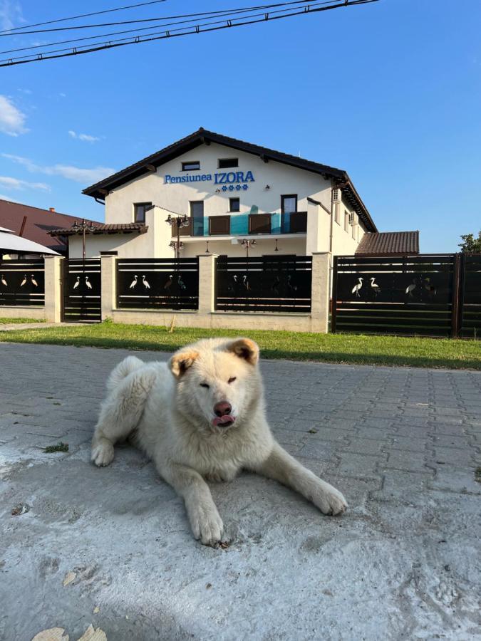 Pensiunea Izora Crisan (Tulcea) Exterior foto